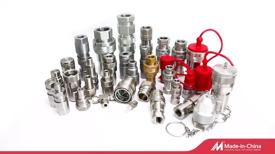 NAIWO No-Valve-Kupplung, rostfreier Schnellkupplungsnippel für Wasserpistolen-Reinigungsgeräte