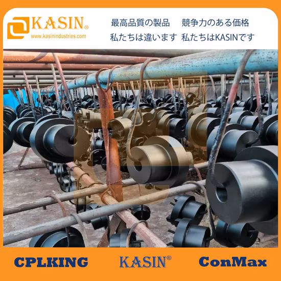 Kasin Gusseisen-HRC-Kupplung (B/F/H) mit Gummi für Ölpumpen- und Getriebeteile